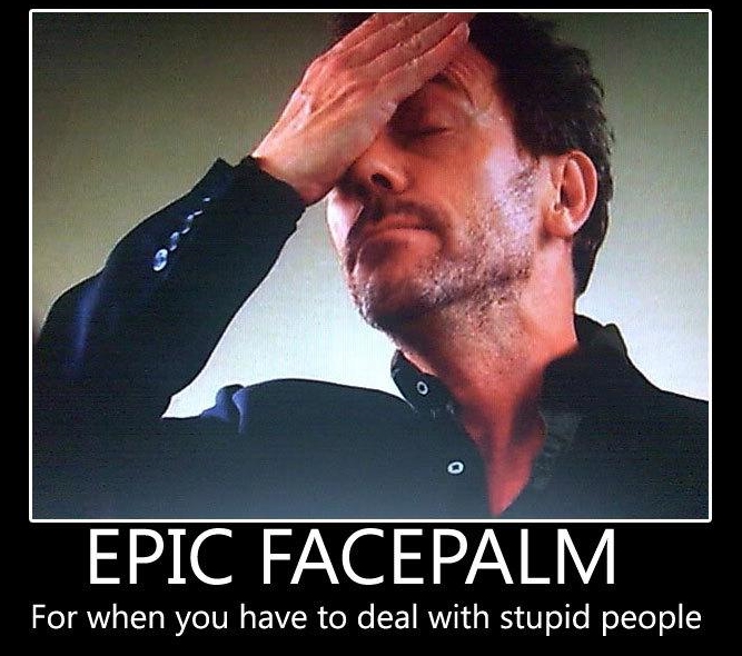 epic-facepalm-for-when-you-have-to-deal-with-stupid-people.jpg